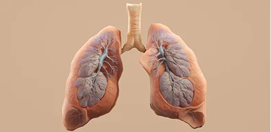 Treatment Image 3